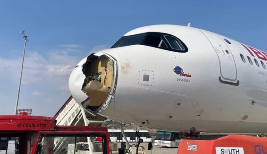 VIDEO: Avión aterriza de emergencia en España tras chocar contra un ave y sufrir daños