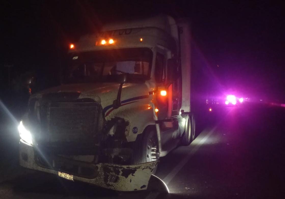 Caballo es embestido por un tráiler en la México 15 en Guasave