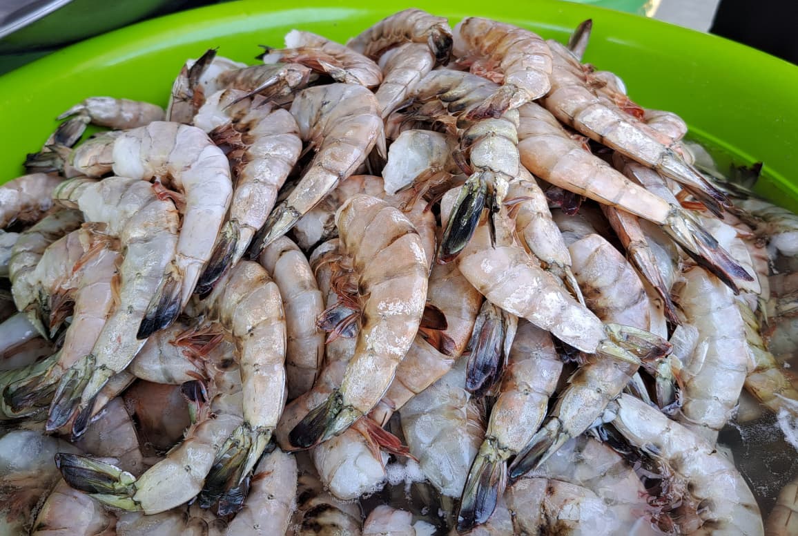 Turistas aprovechan para llevar camarón y otros mariscos