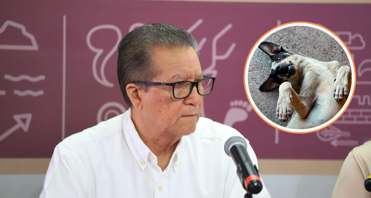 Vocería reconoce prontitud del proceso en caso “Bobby”