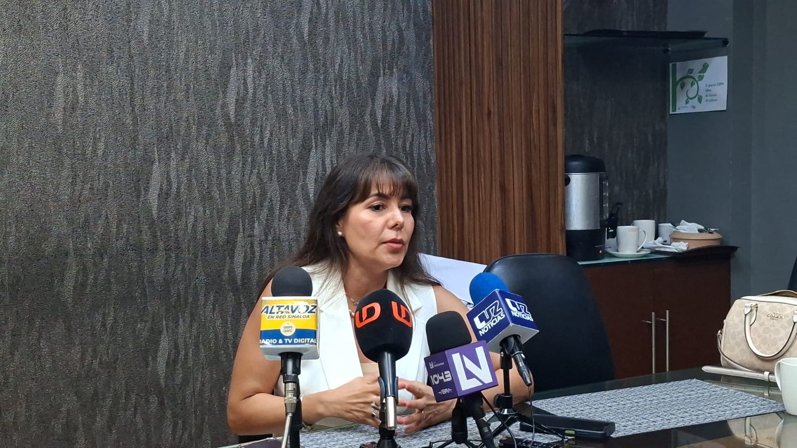 Vicepresidenta de la Cámara Nacional de Comercio, Servicios y Turismo