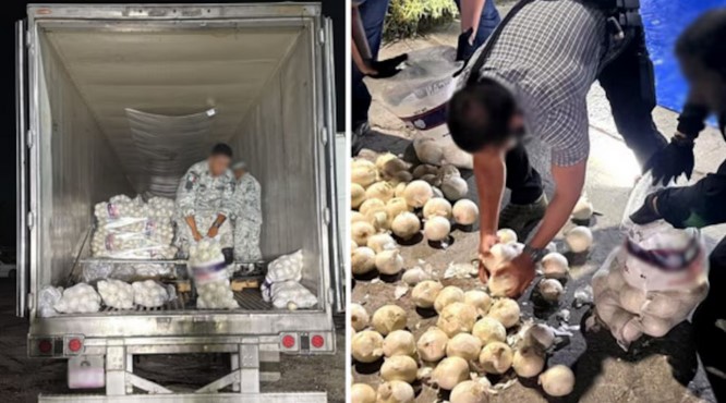 FGR procesa a detenido con más de 260 kilos de droga ocultos en cargamento de cebollas en Reynosa