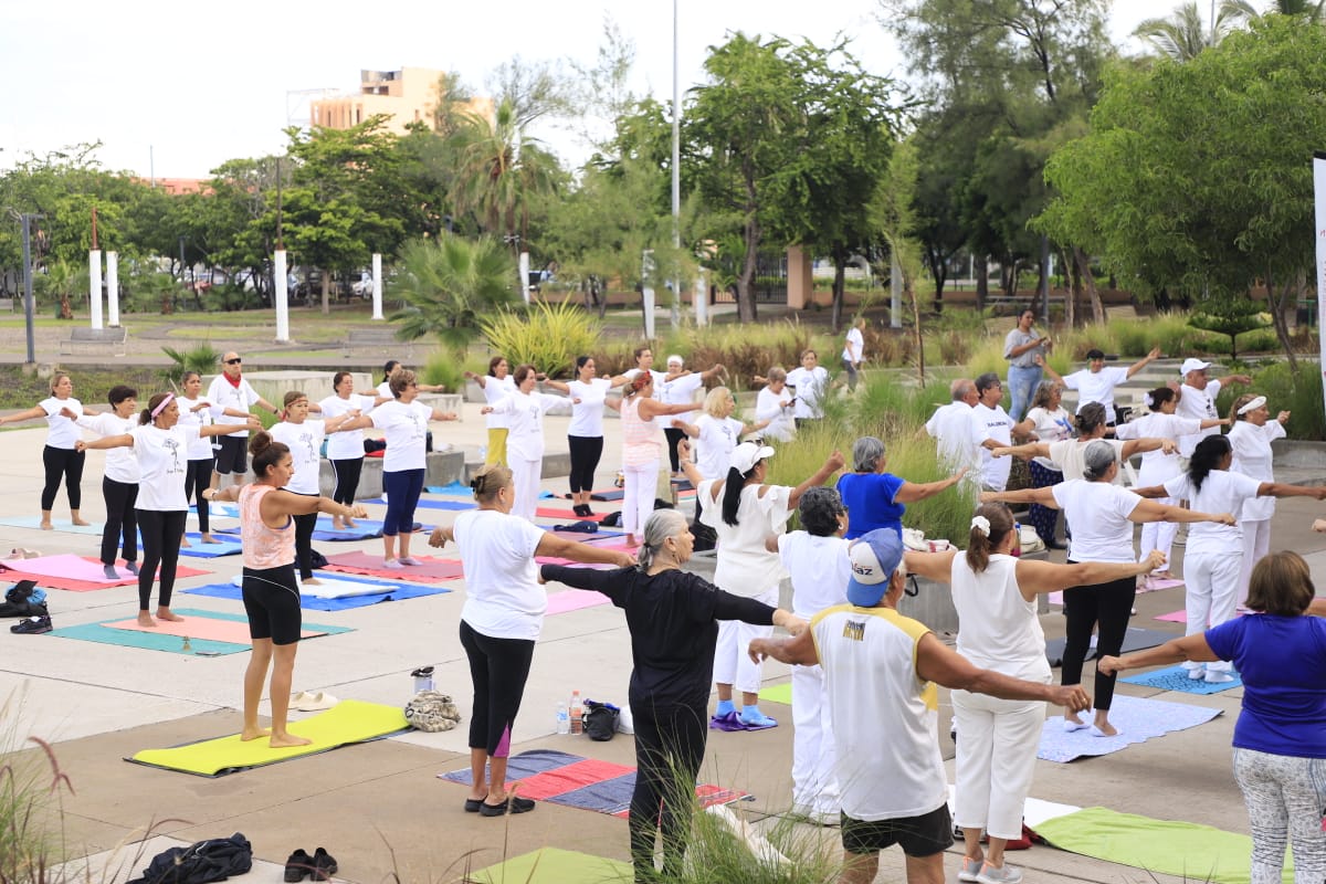 Adultos mayores participan en clase de yoga
