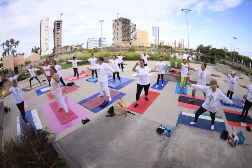 Adultos mayores participan en clase de yoga