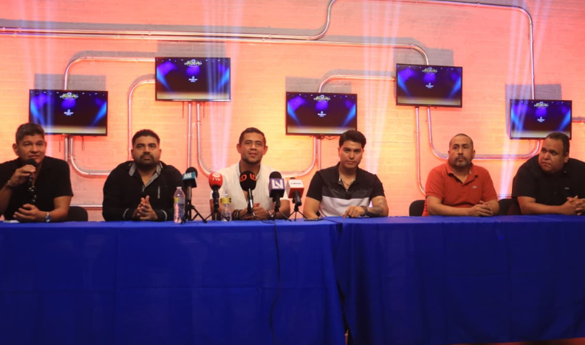 Organizadores de 