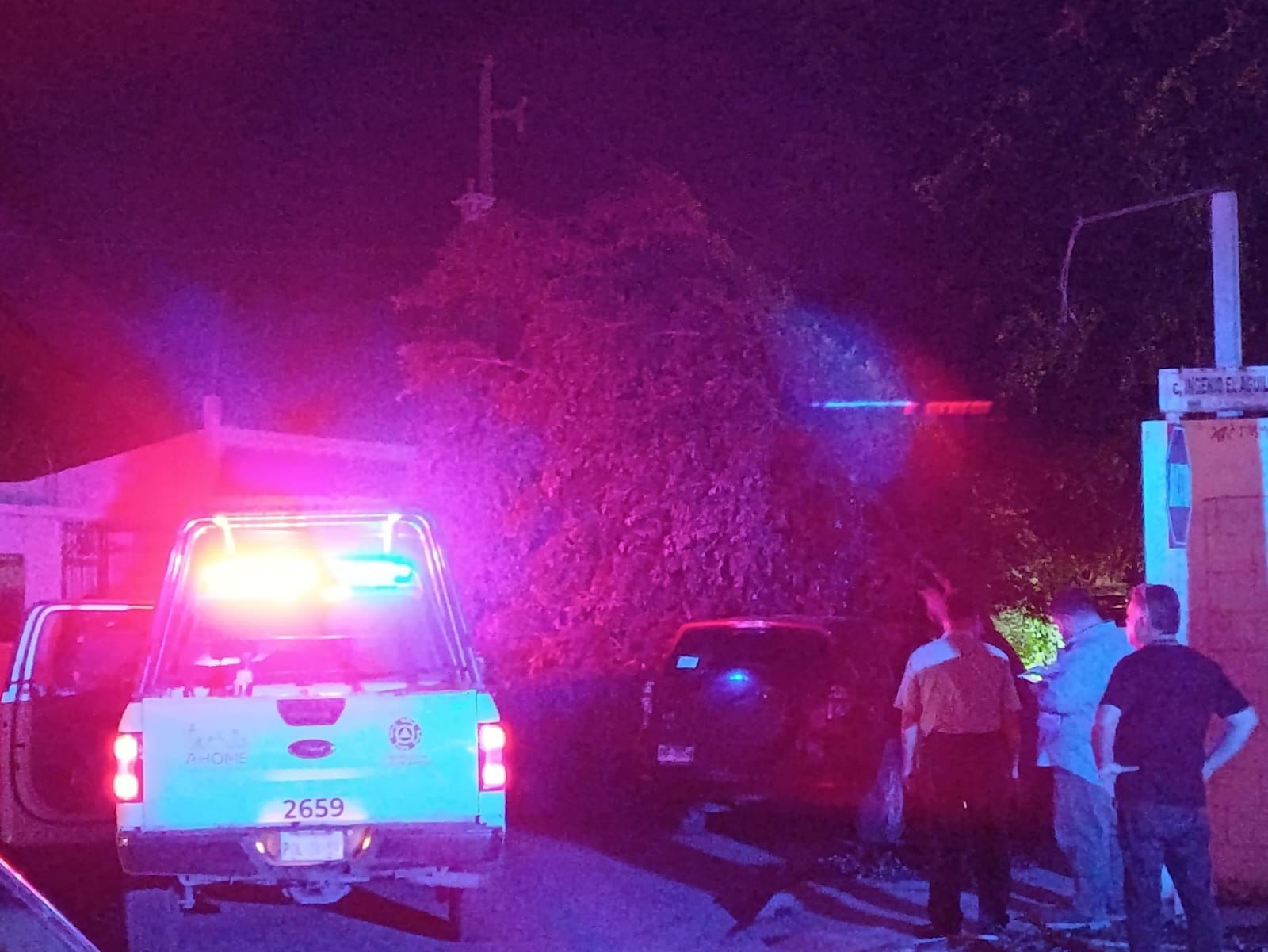 Este árbol cayó sobre una camioneta afuera de un domicilio, derivado de las fuertes rachas de viento.