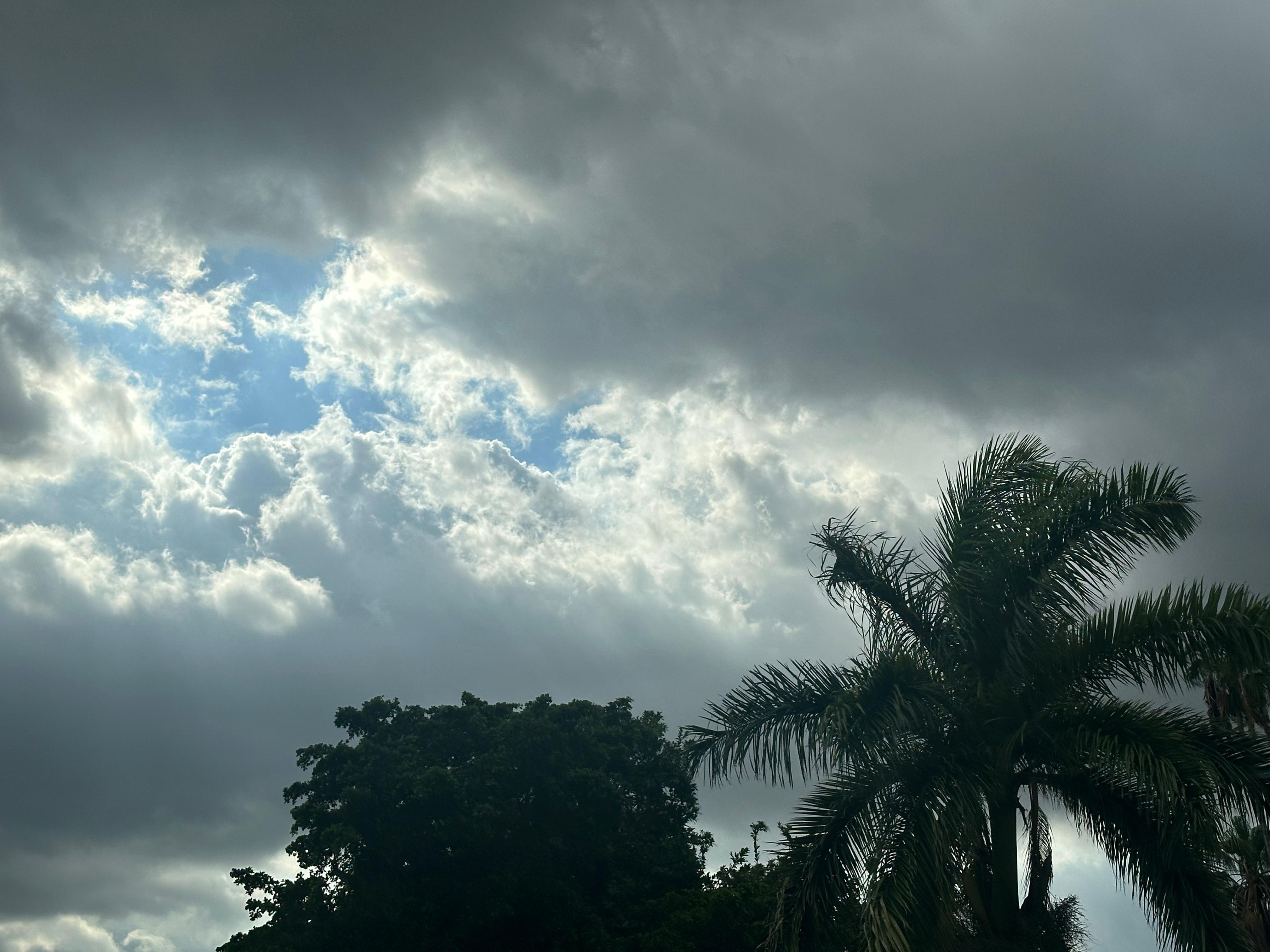 Lluvias en Sinaloa
