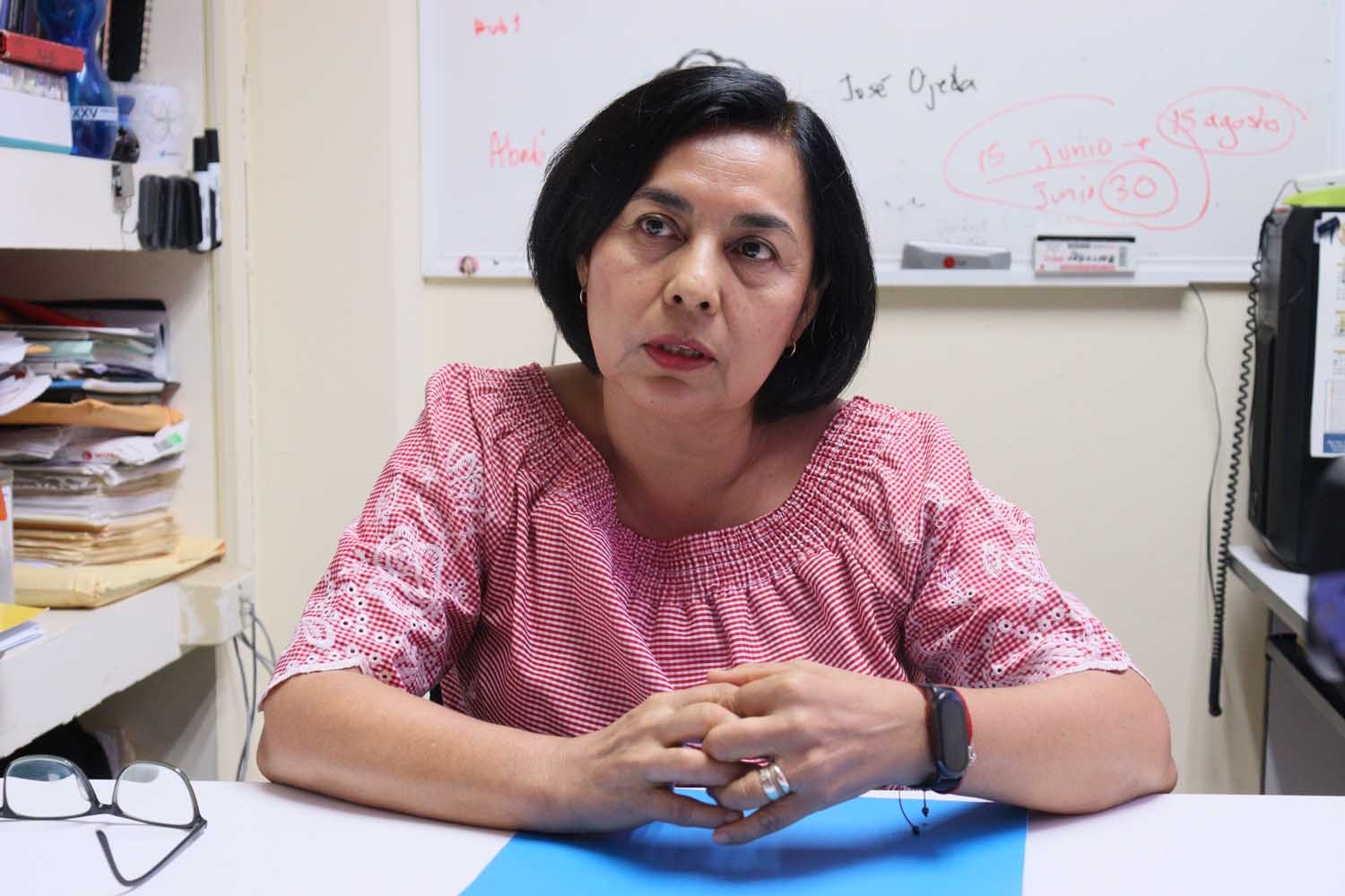 Investigadora de la Facultad de Ciencias Físico-Matemáticas