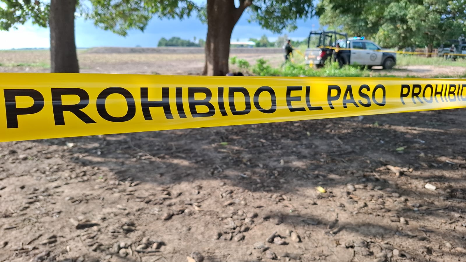 Escena del crimen