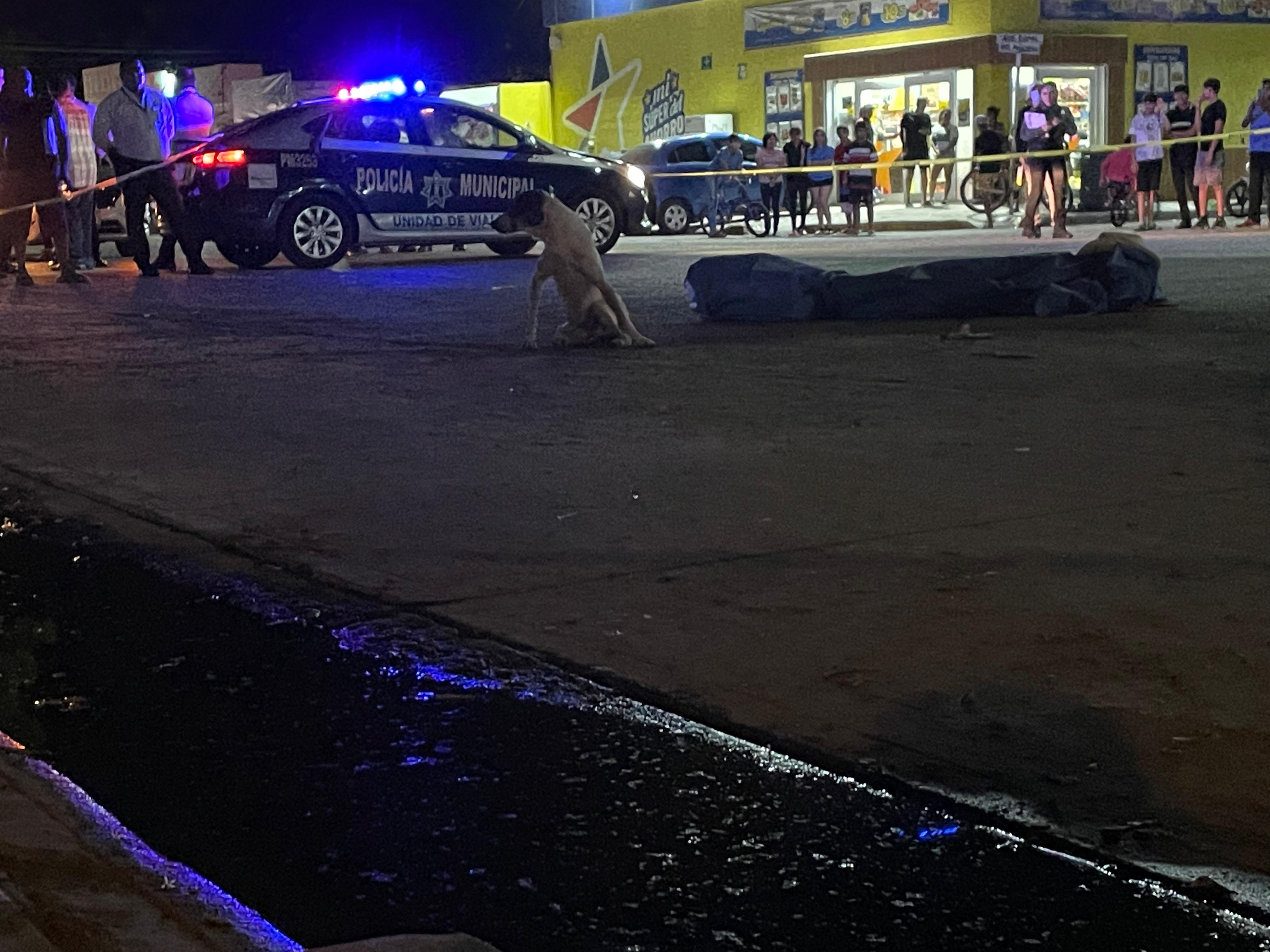 Adulto mayor pierde la vida tras ser atropellado en el sector Las Canteras de Los Mochis.
