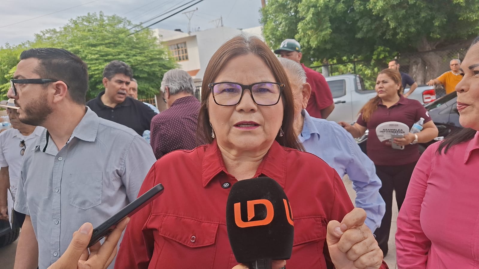 Senadora