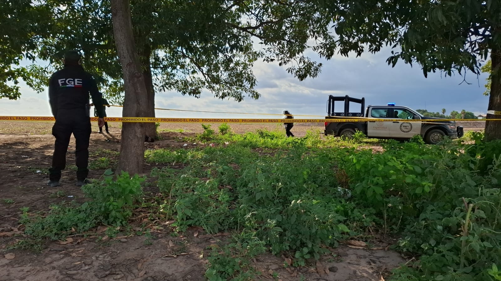 José Ángel es el hombre localizado asesinado a balazos y recargado en un árbol de mango en Navolato