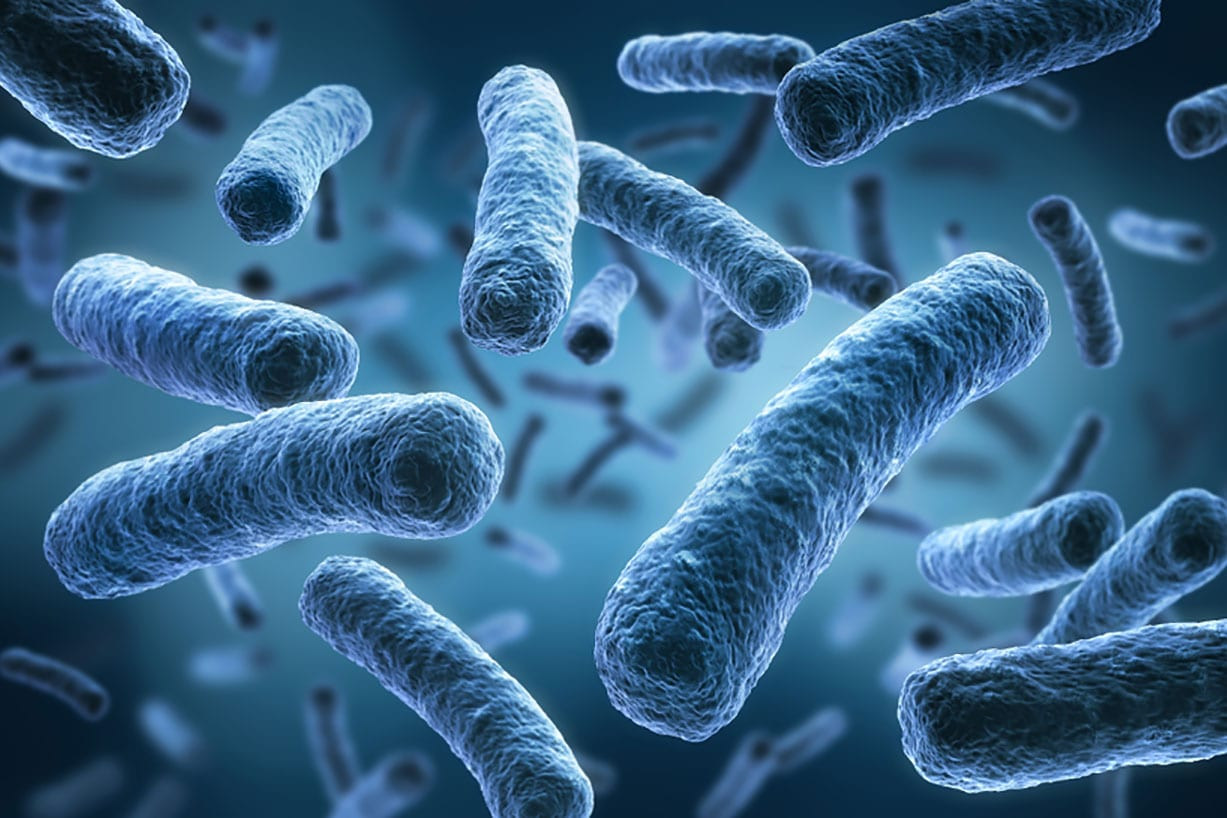 Alerta en Nueva York: brote de bacteria Legionella deja 3 muertos y 67 infectados