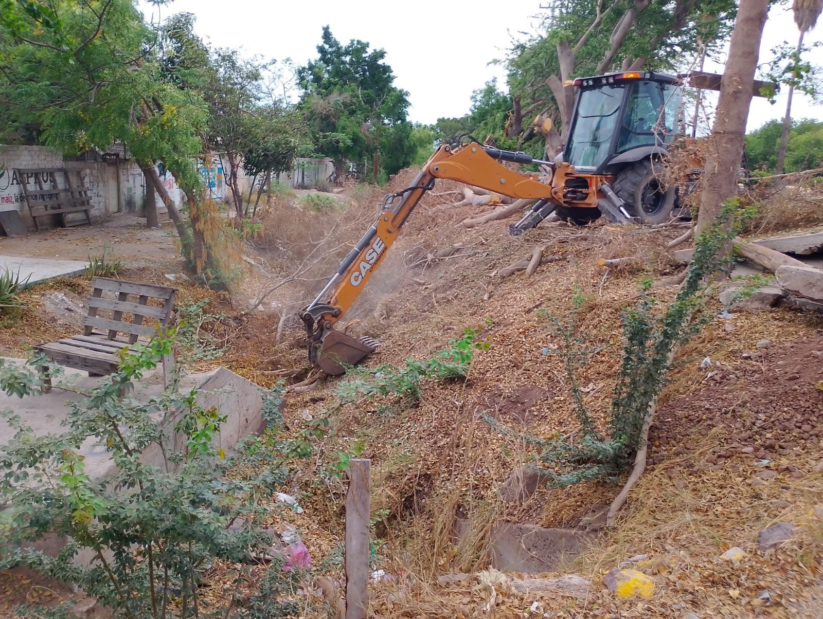Estos son los trabajos que realizan en Ahome para la limpieza de drenes y canales.