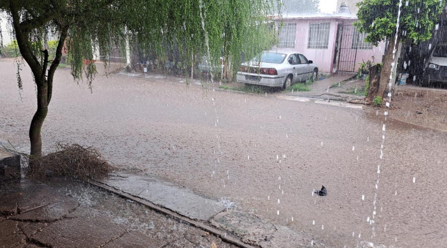 Lluvia en Guamúchil