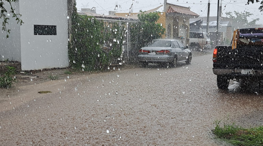 Lluvia en Guamúchil