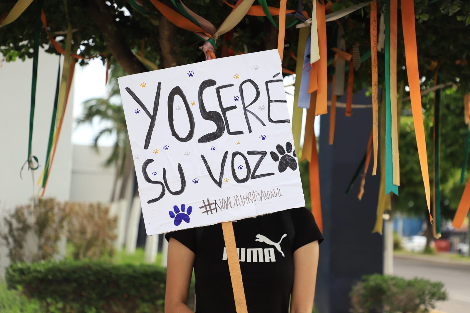 Manifestación tras la muerte del perrito 