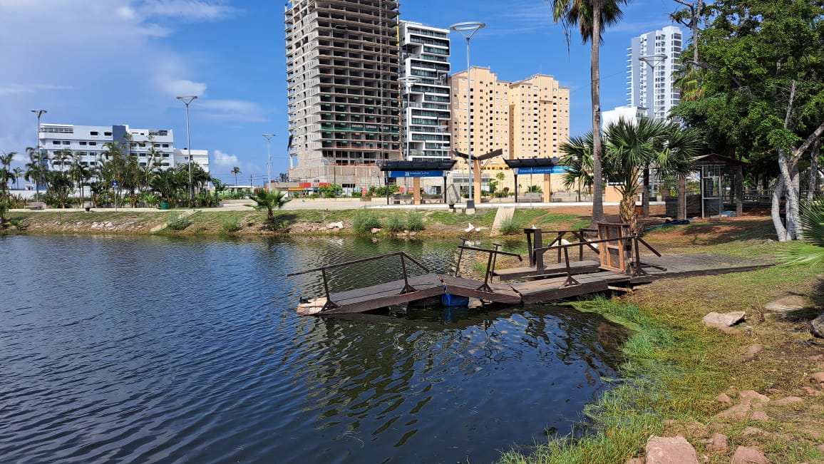 Mortandad de peces en la laguna El Camarón en Mazatlán