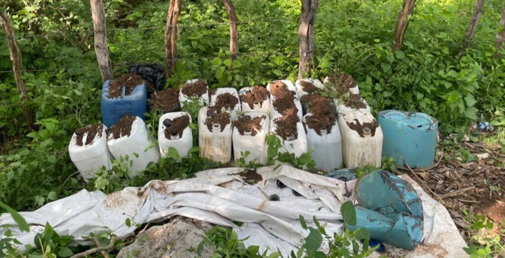 Militares aseguran plantío de mariguana y áreas para producción de drogas en municipios de Sinaloa