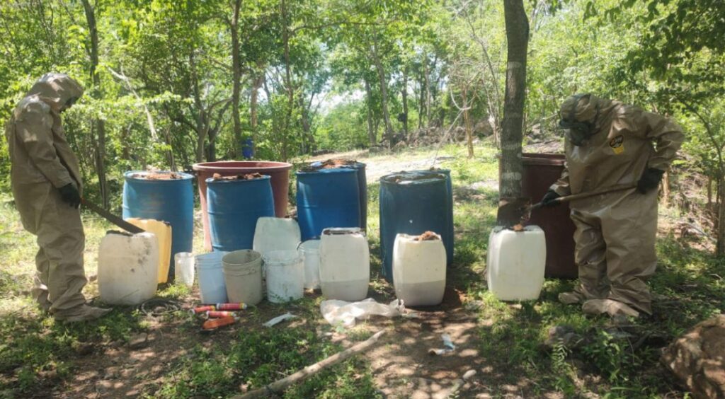 Militares aseguran plantío de mariguana y áreas para producción de drogas en municipios de Sinaloa