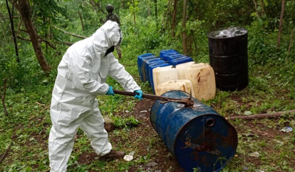 Militares aseguran plantío de mariguana y áreas para producción de drogas en municipios de Sinaloa