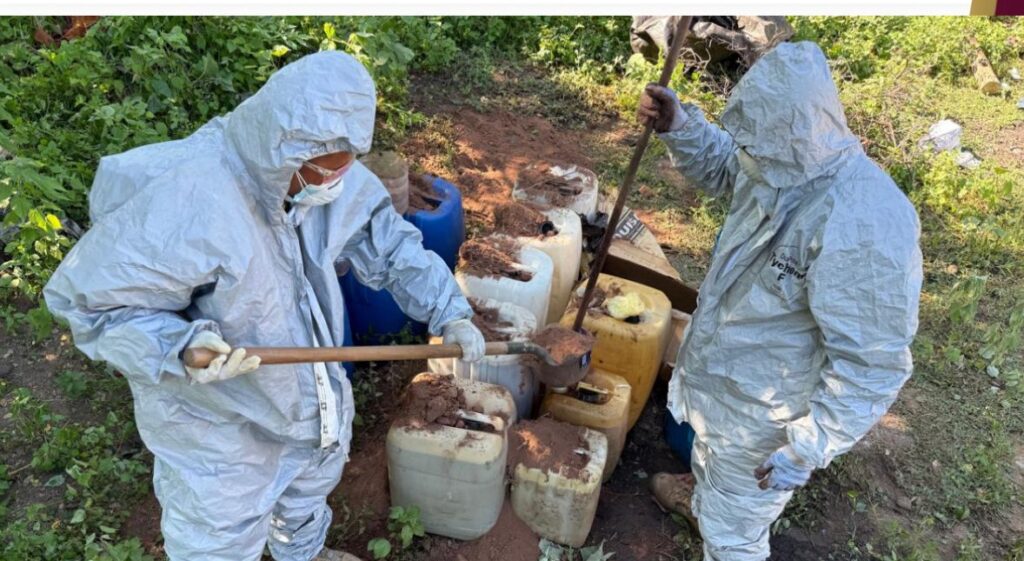 Militares aseguran plantío de mariguana y áreas para producción de drogas en municipios de Sinaloa