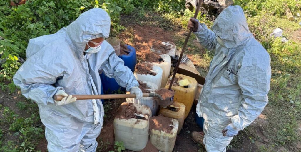 Militares aseguran plantío de mariguana y áreas para producción de drogas en municipios de Sinaloa