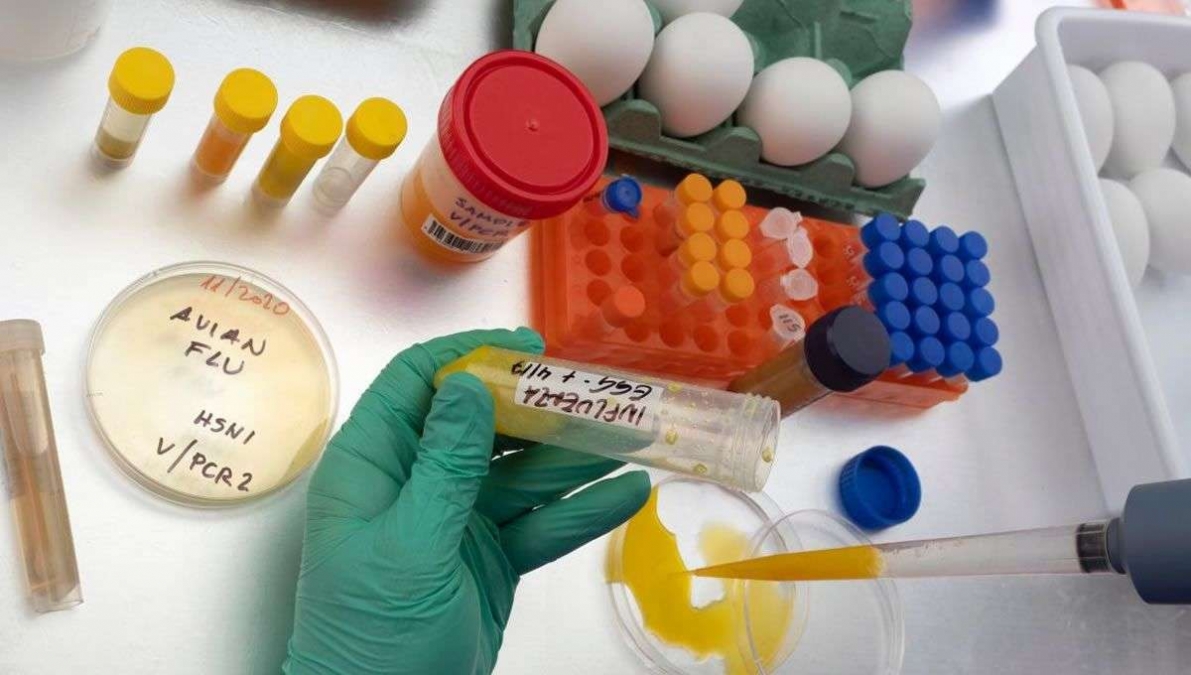 Niña en Camboya hospitalizada por infección de gripe aviar A(H5N1)