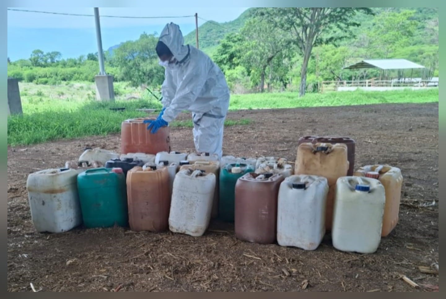 Autoridades destruyen áreas de precursores químicos
