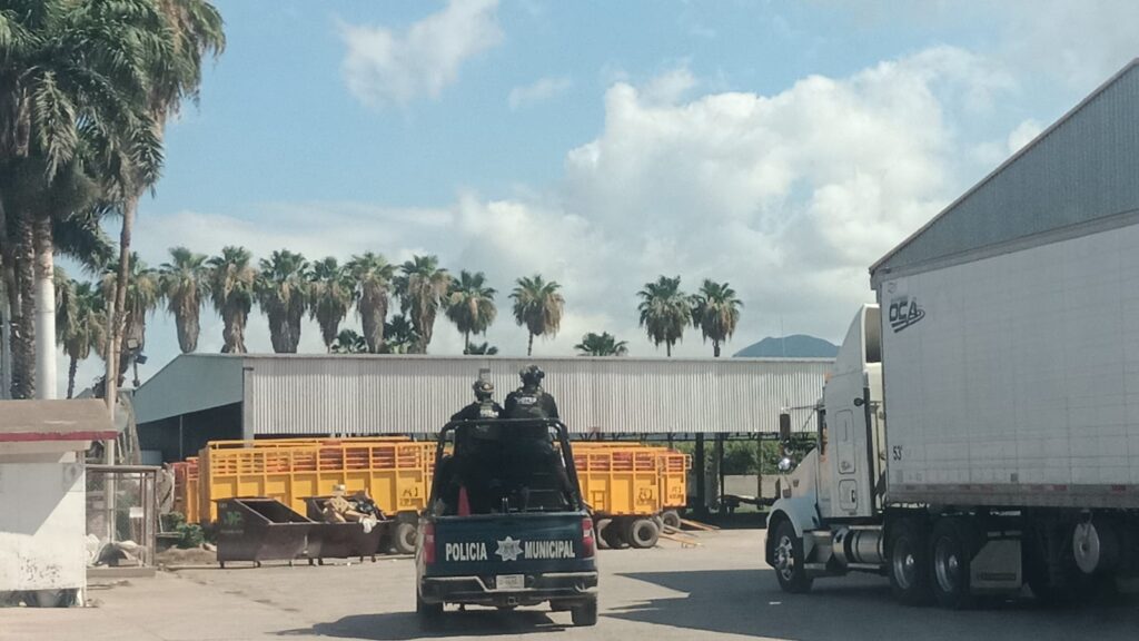 Policía Municipal de Ahome realizando rondines para evitar el robo de mango.