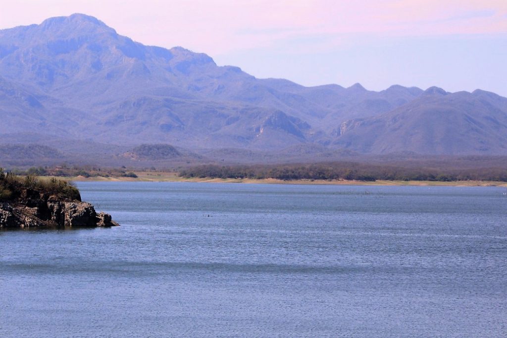 Presa El Salto