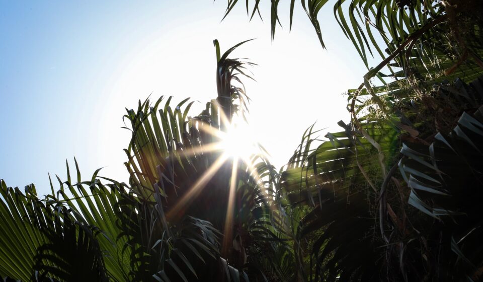 Altas temperaturas en Sinaloa
