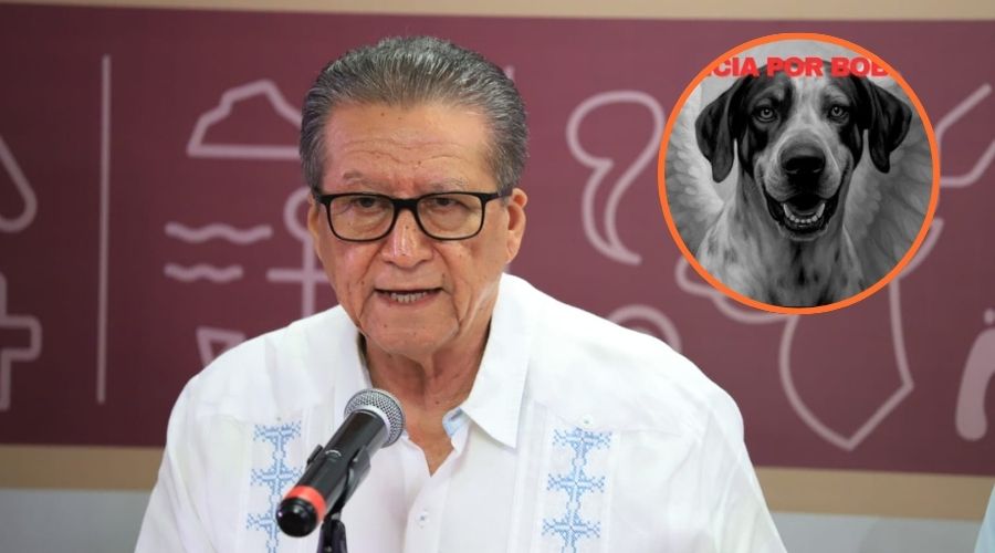 Que se cumpla la ley en audiencia del perrito Bobby, asesinado con un machete en Costa Rica