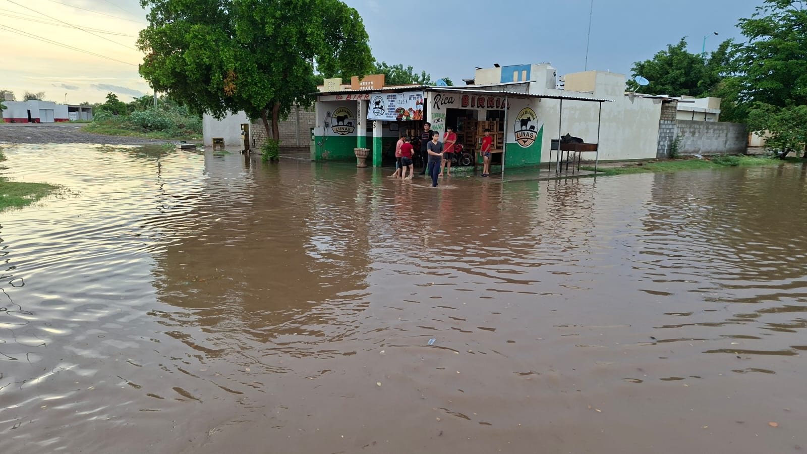 Rojo Gómez lidera lluvias en Guasave con 37 mm