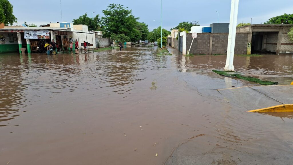 Rojo Gómez lidera lluvias en Guasave con 37 mm