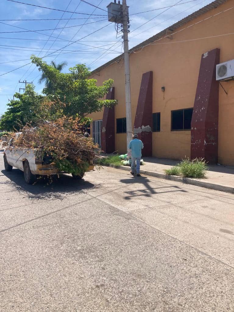 Lo que hoy se poda, barre y se tira, ayudará a enverdecer parques y jardines de Guasave: Oficialía Mayor