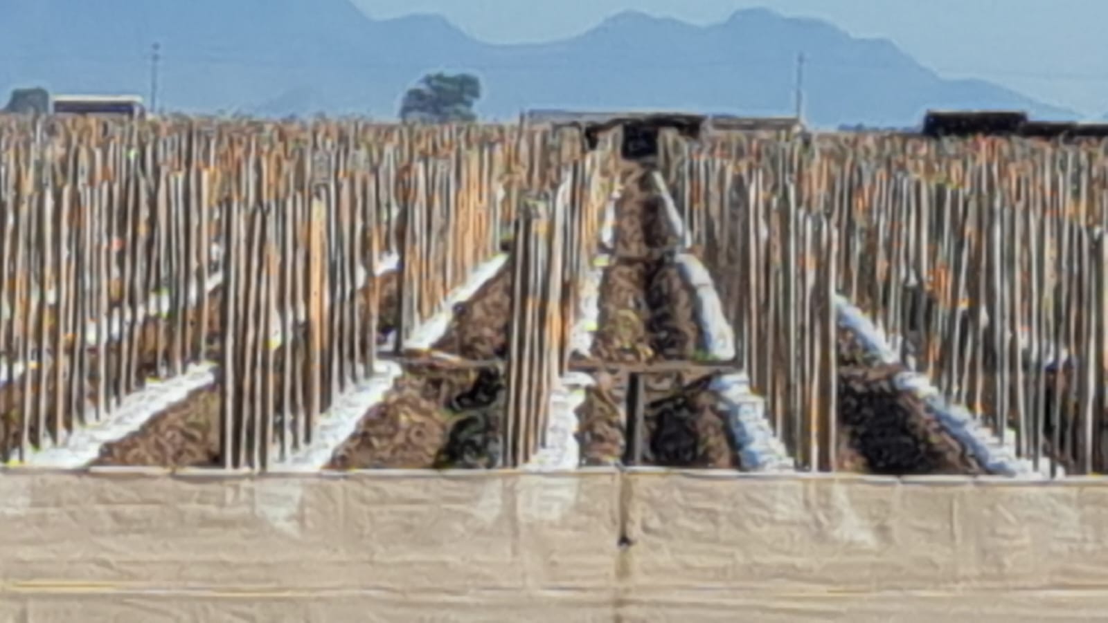 Socios de la Asociación de Agricultores de Culiacán están listos para iniciar la siembra de hortalizas