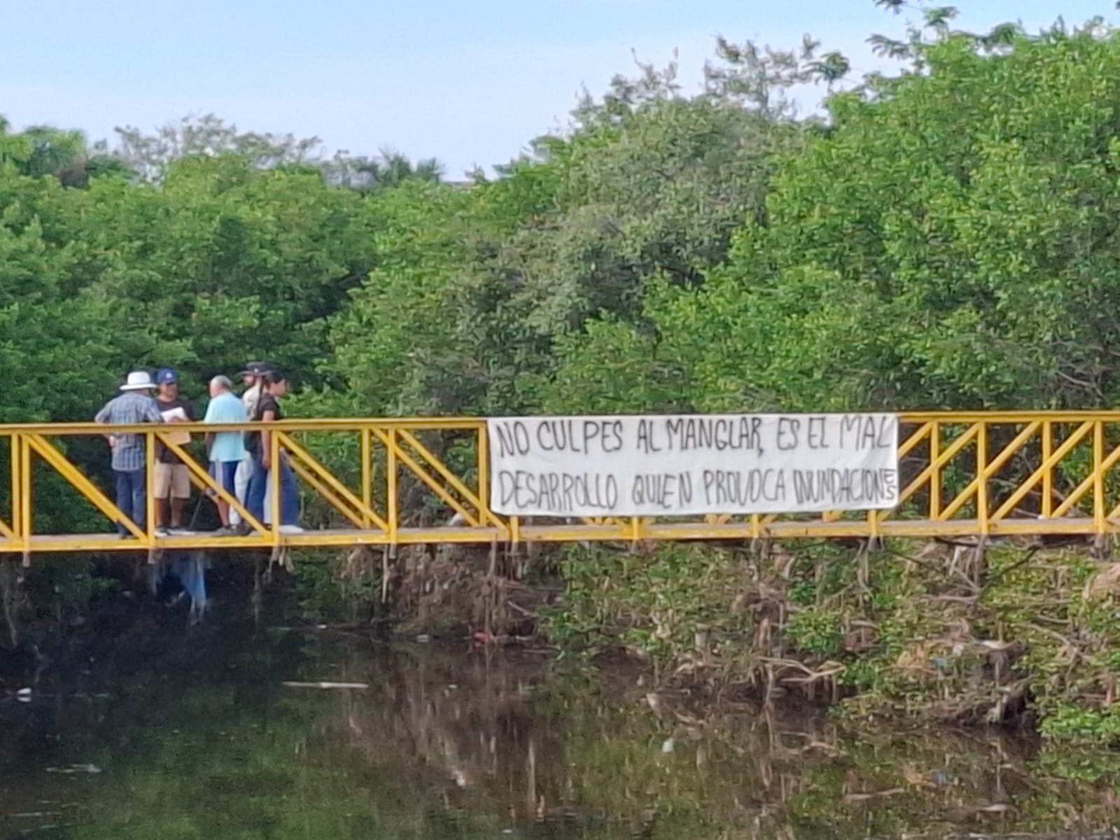 Vecinos y ambientalistas protestan en rechazo a la tala de mangle