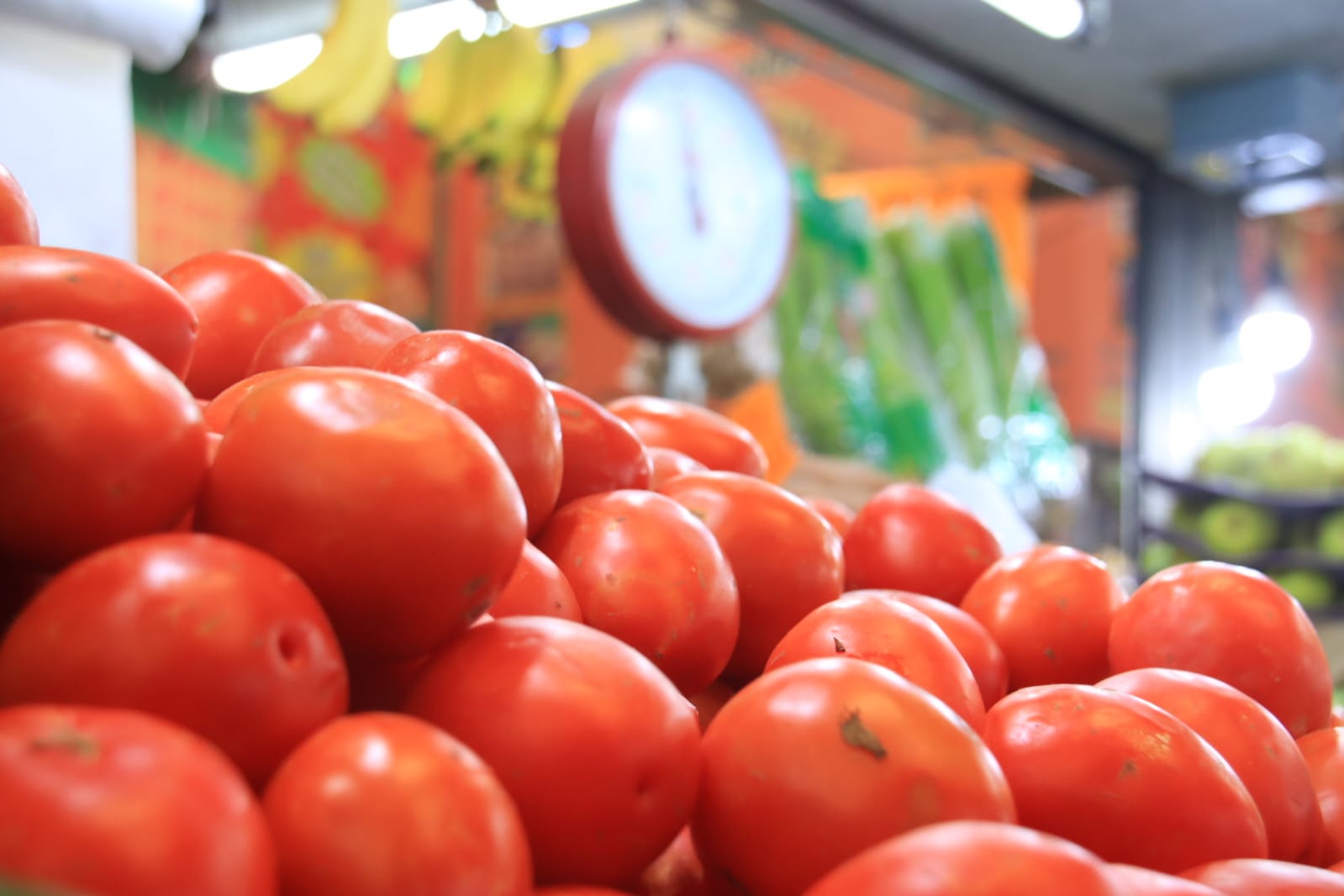 Precios mínimos salvan exportación de tomate mexicano