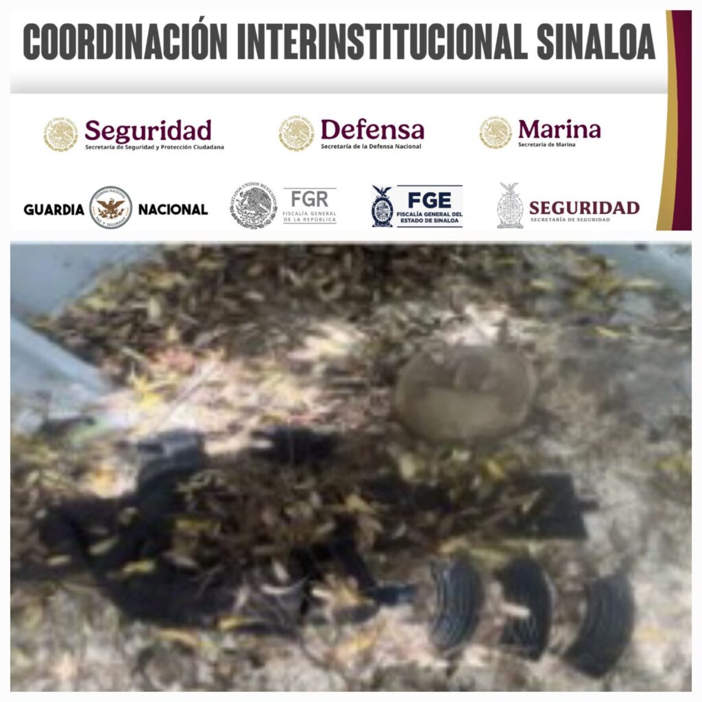 DEcomisos del gobierno federal