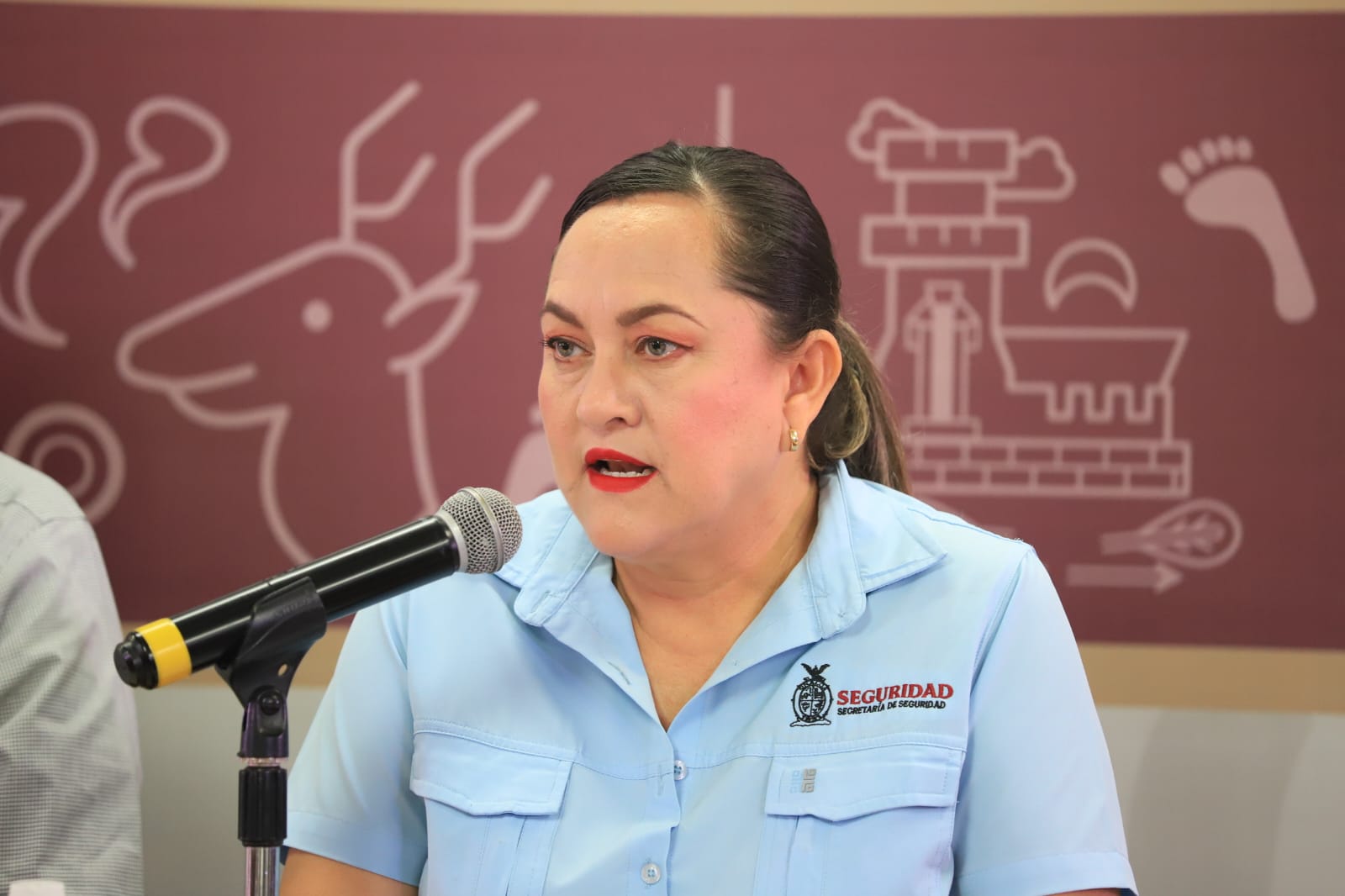 Aseguran armas, explosivos, vehículos y áreas de concentración de precursores químicos en Sinaloa