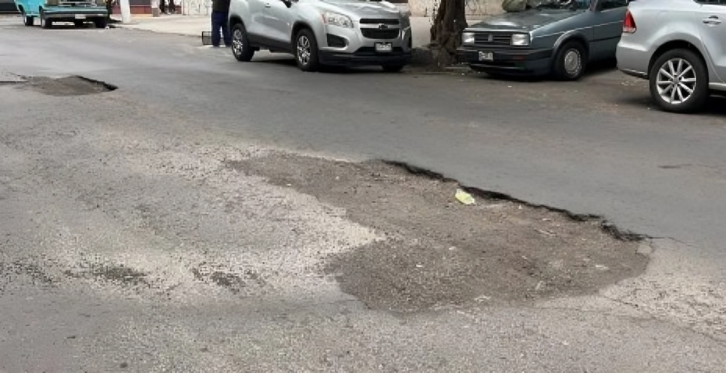 Bache grande