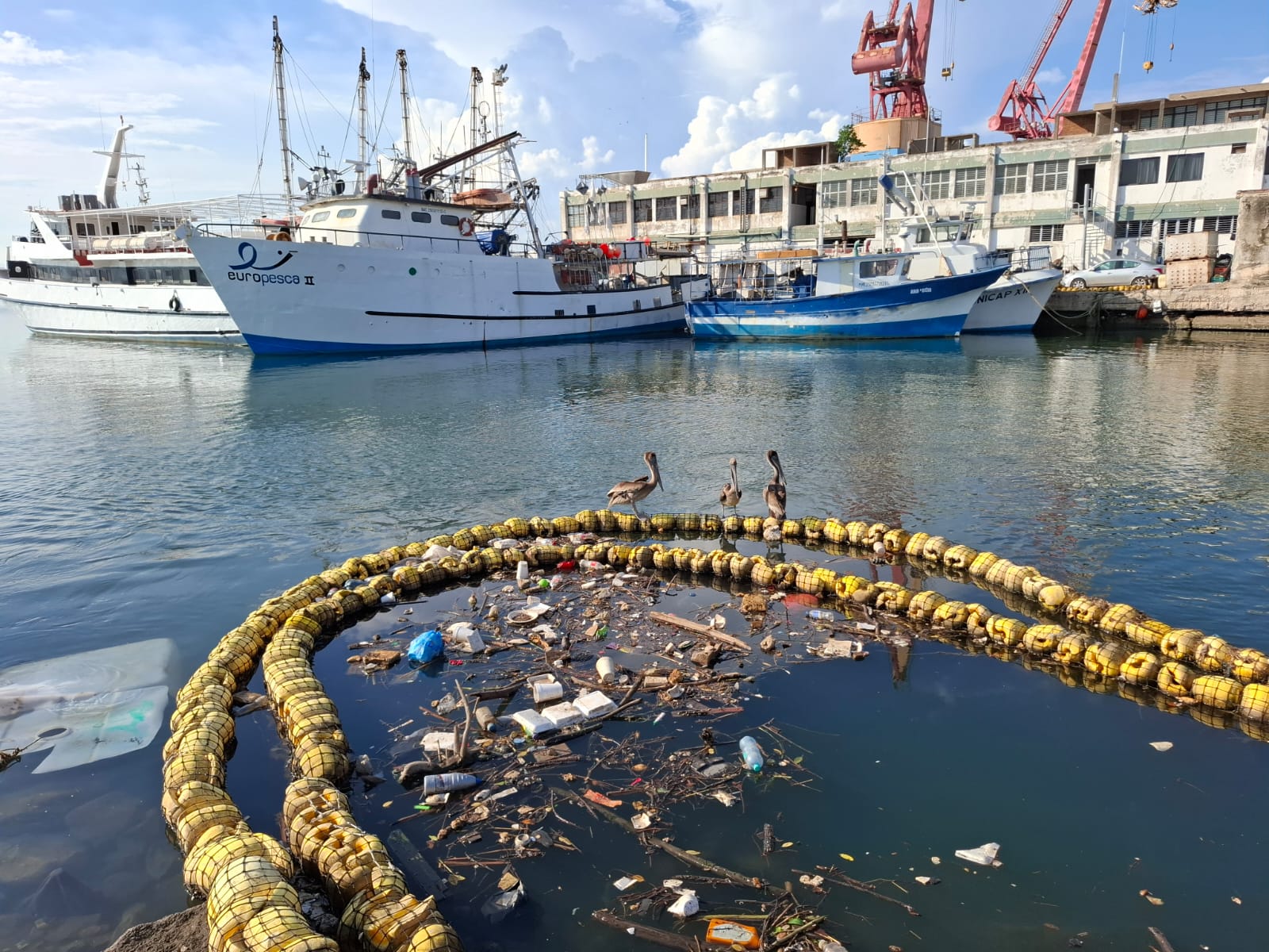 Biobarda ubicada en el puente Juárez, Mazatlán.