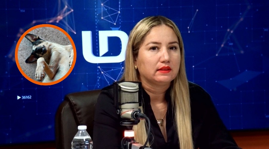 La directora de la Fundación Balto y Togo confirmó el avance sobre el caso