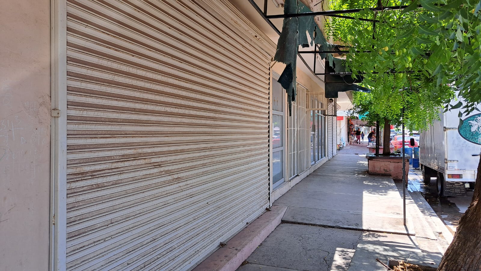 comerciantes del Évora