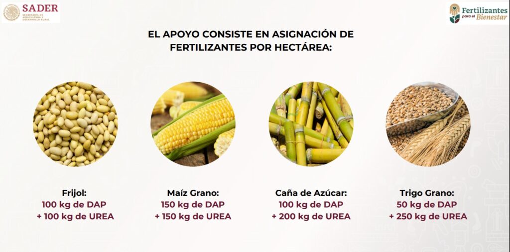 programa de fertilizantes en Sinaloa