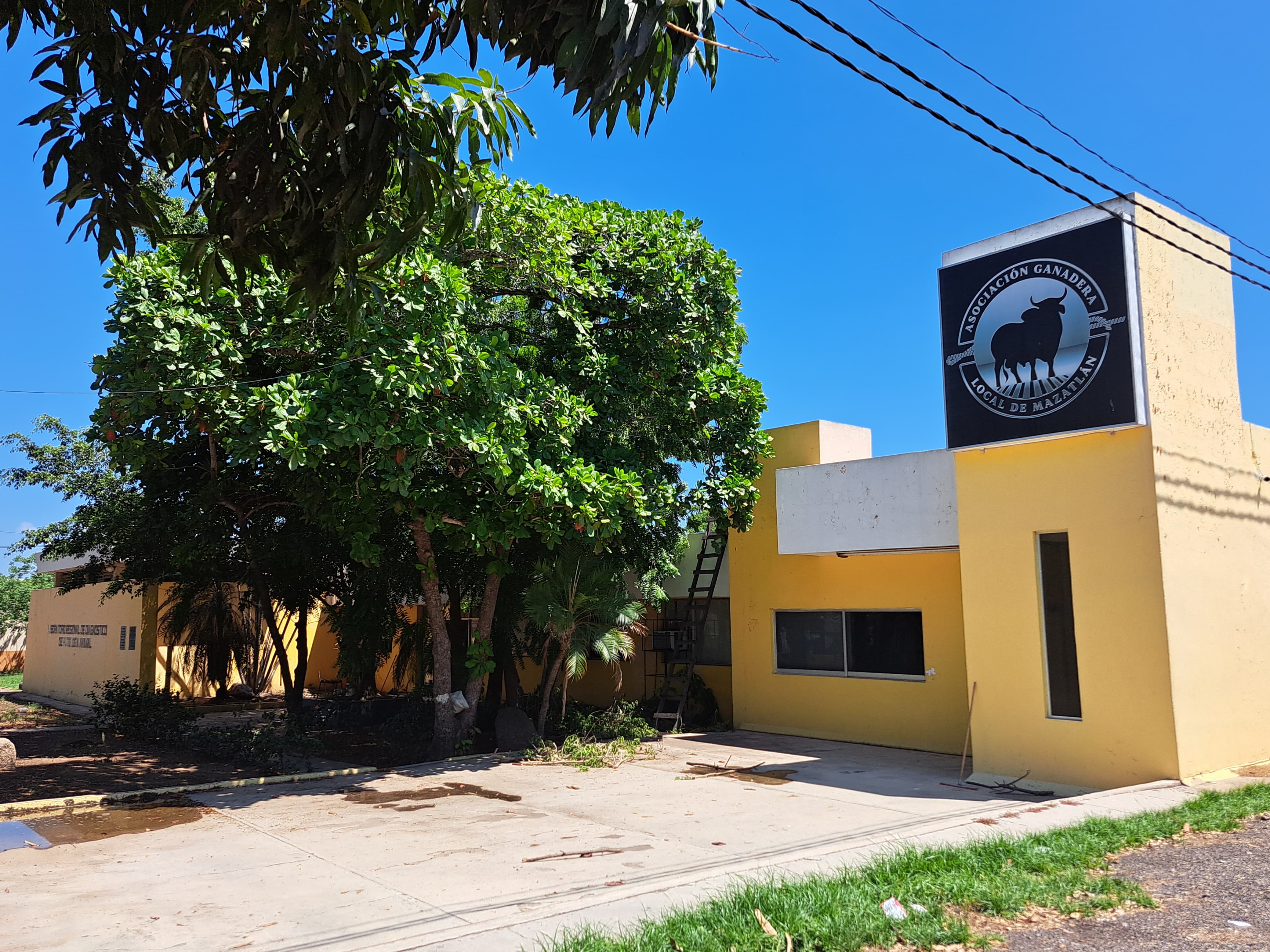sector ganadero