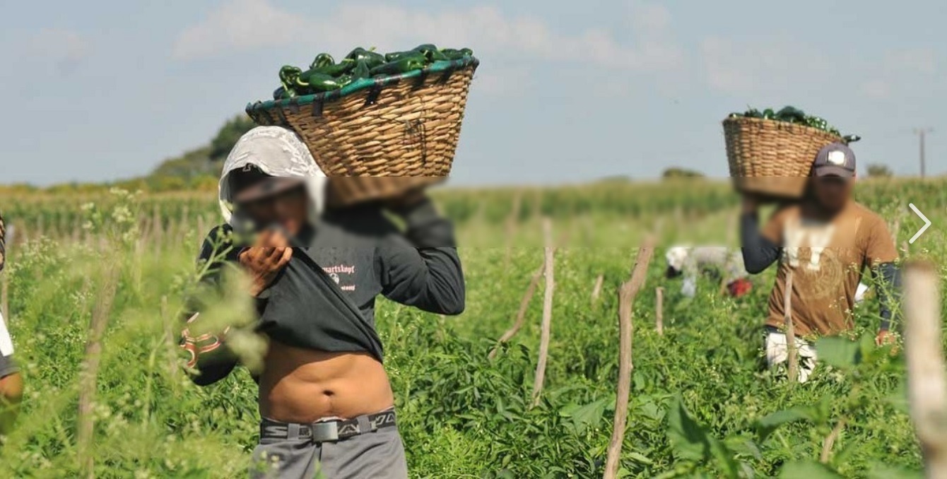 jornaleros migrantes