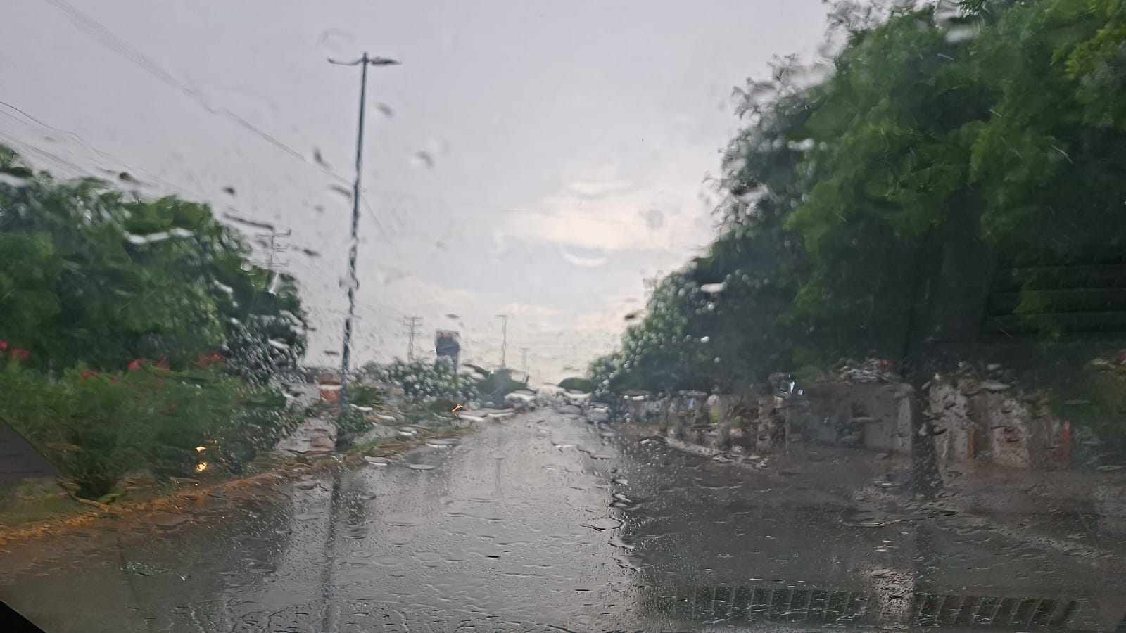 Precipitaciones registradas en el municipio de Guasave