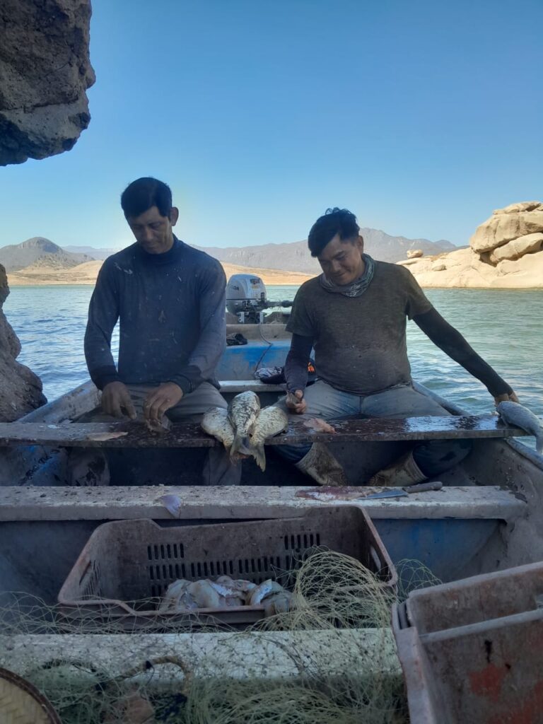 Pescadores de la presa El Varejonal en Badiraguato.